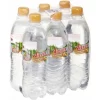Vitrex Pfirsich 6x 0,5L 7